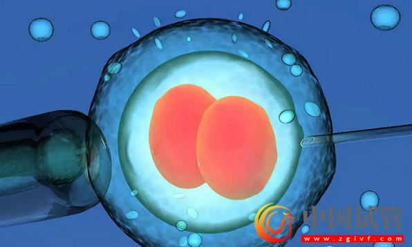 打完夜針跑了兩步對取卵成功率有影響嗎?(圖1) 打完夜針跑了兩步對取卵成功率有影響嗎?(圖1)