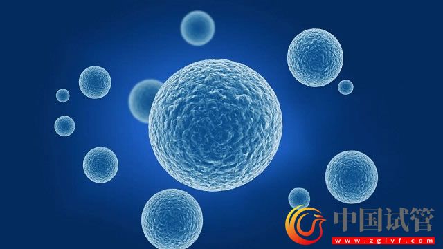 取卵后有腹水的可能性還可以堅持移植鮮胚嗎？(圖1)