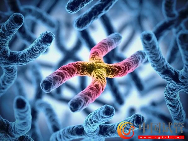 哪幾個區域的y染色體微缺失符合第三代試管指征？(圖1)