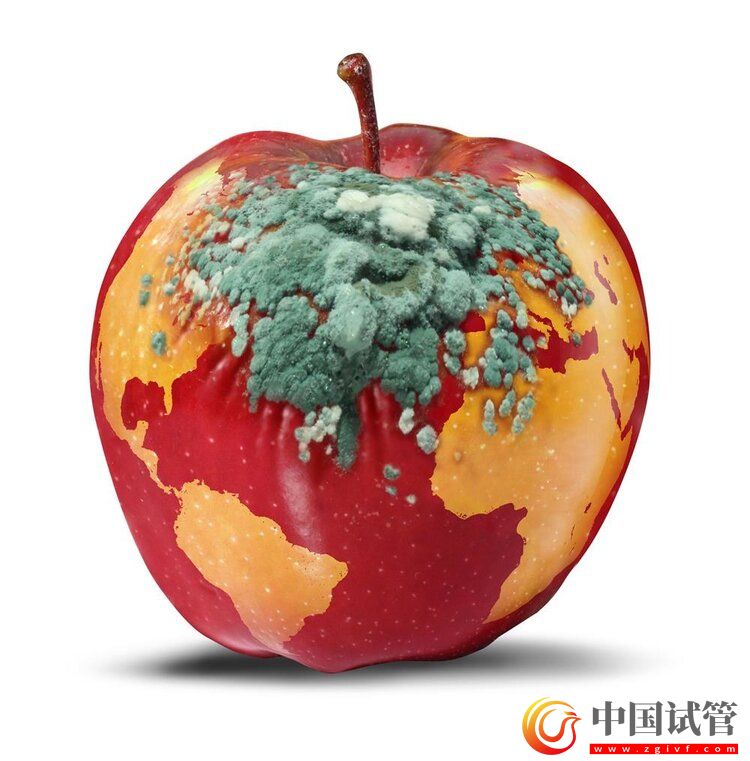 中國癌癥高發，與水果吃太少有關？(圖1)