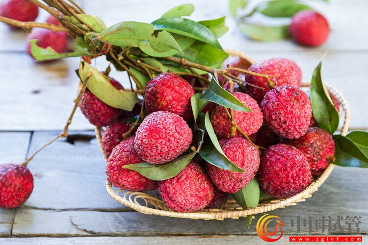 中國癌癥高發，與水果吃太少有關？(圖4)