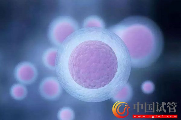 多囊卵巢綜合征嚴重嗎？治療多囊你要了解它！(圖1)