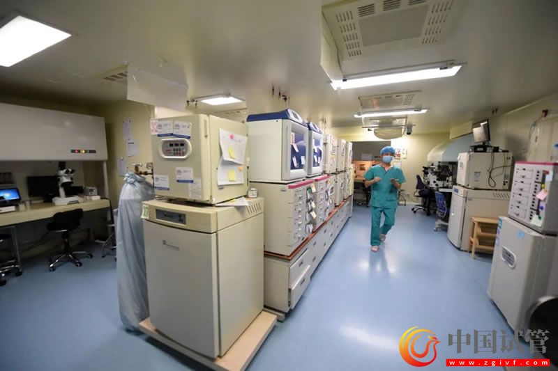 我國每年約有30萬名試管嬰兒誕生(圖1) 我國每年約有30萬名試管嬰兒誕生(圖1)