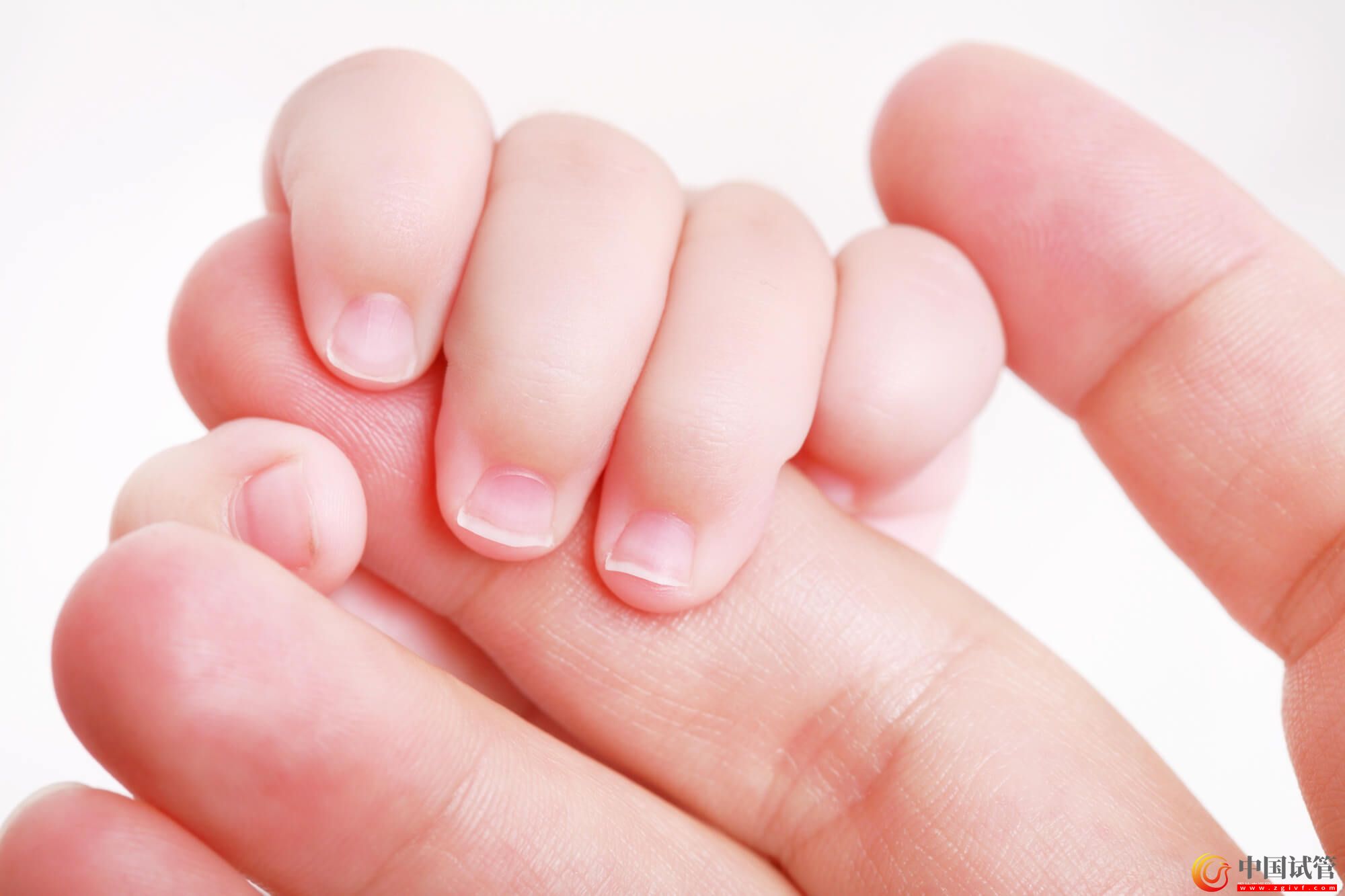 銅仁試管嬰兒醫院費用(圖1)