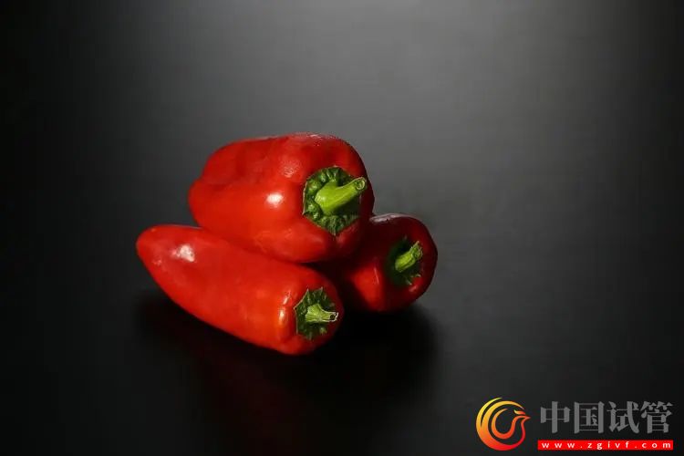 撫順第三代試管嬰兒需要多少錢?(圖1) 撫順第三代試管嬰兒需要多少錢?(圖1)