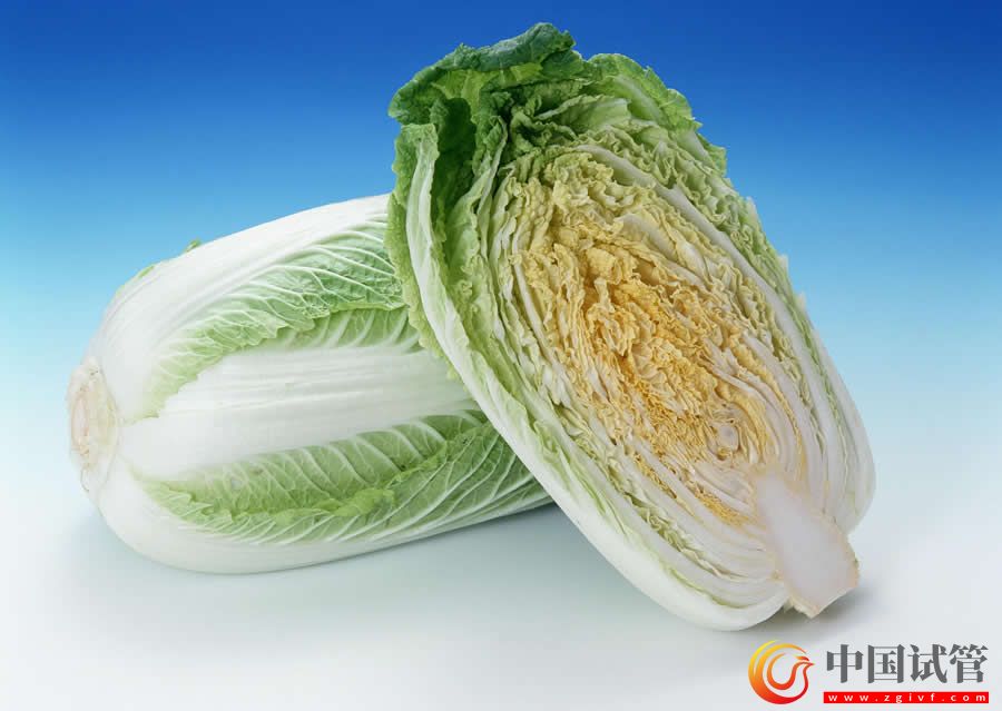 朝陽市中心醫院試管嬰兒收費貴嗎？(圖1)