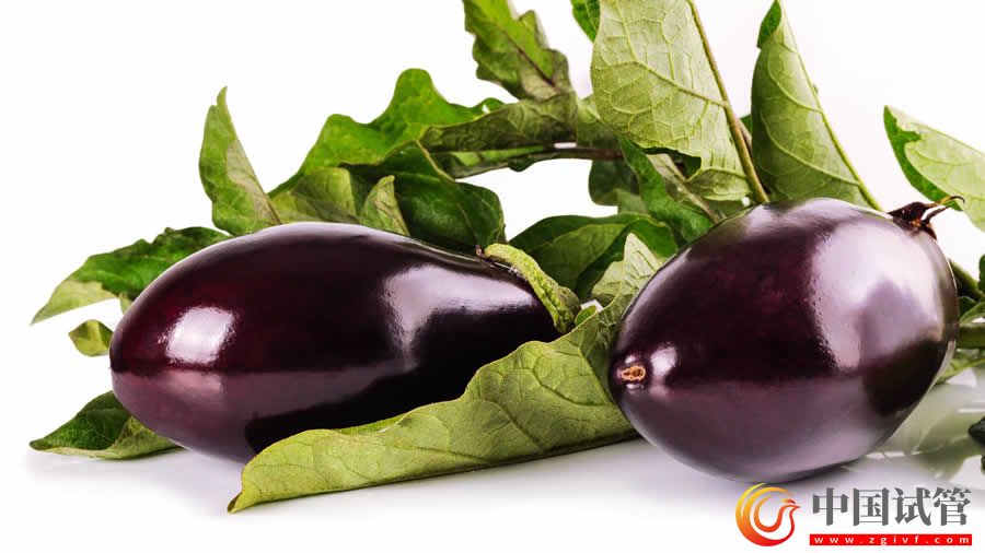 雞西哪些醫院可以做第三代試管嬰兒？(圖1)