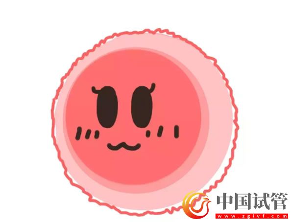 昌都哪些醫院可以做第三代試管嬰兒？(圖1)