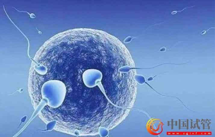 牡丹江婦幼保健院人工授精經(jīng)驗(yàn),單次費(fèi)用范圍約8000-10000元(圖2) 牡丹江婦幼保健院人工授精經(jīng)驗(yàn),單次費(fèi)用范圍約8000-10000元(圖2)