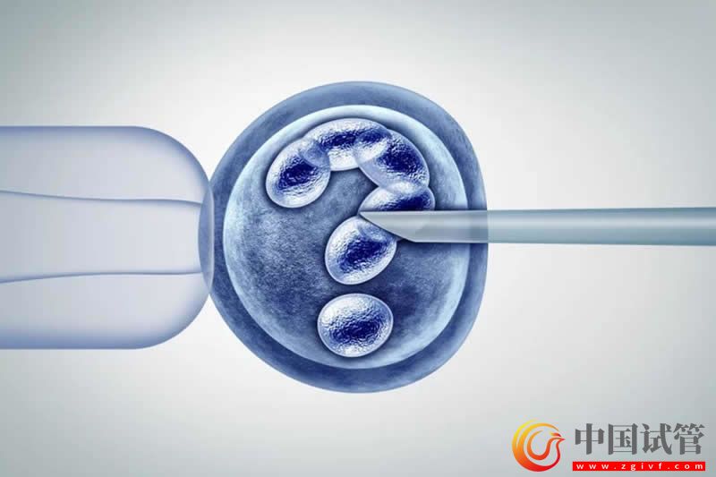 和田可以做試管嬰兒嗎？(圖1)
