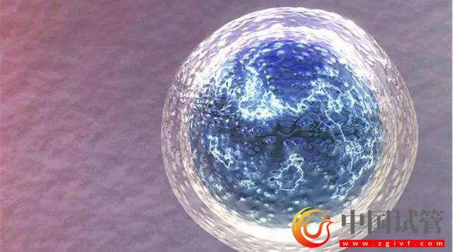 哈密第三代試管嬰兒價格,多少錢?(圖1) 哈密第三代試管嬰兒價格,多少錢?(圖1)