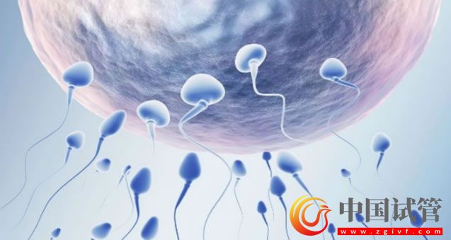 阿克蘇做第三代試管嬰兒的費用大約多少？(圖1)