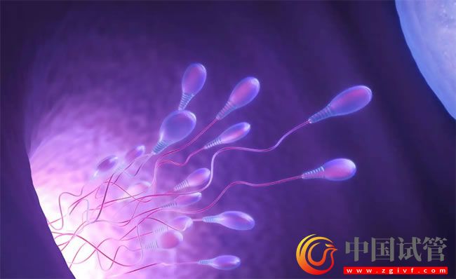 吐魯番哪做第三代試管嬰兒?(圖1) 吐魯番哪做第三代試管嬰兒?(圖1)