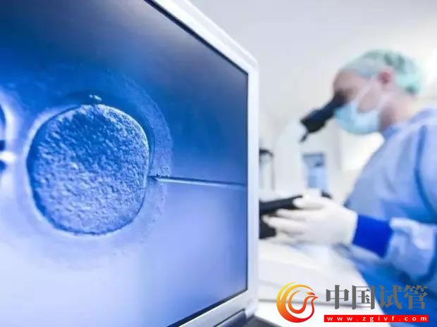 克拉瑪依做第三代試管嬰兒的價格是多少呢?(圖1) 克拉瑪依做第三代試管嬰兒的價格是多少呢?(圖1)