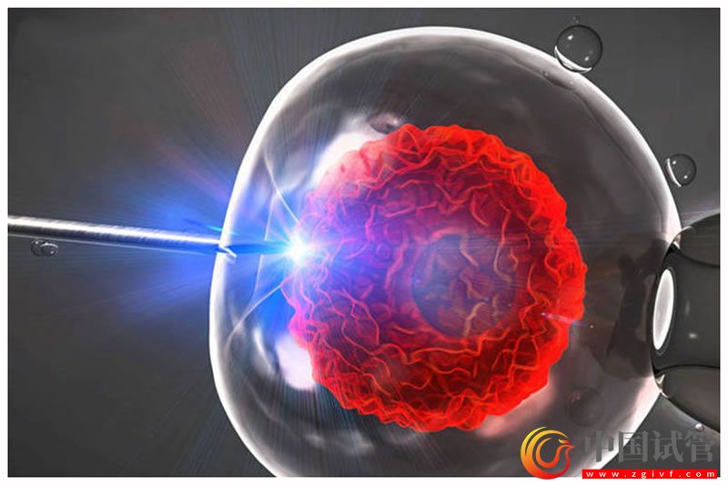 玉樹做第三代試管嬰兒的醫院有哪些？(圖1)