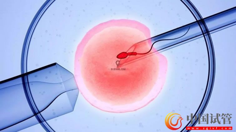 海南藏族自治州哪做第三代試管嬰兒？(圖1)