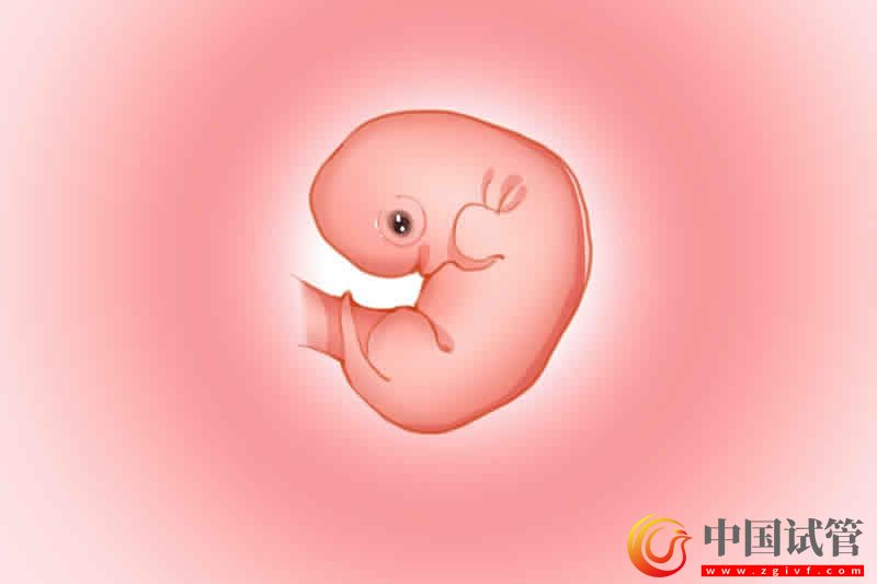 供精試管嬰兒價格解讀,想省錢越早做越好(圖3) 供精試管嬰兒價格解讀,想省錢越早做越好(圖2)