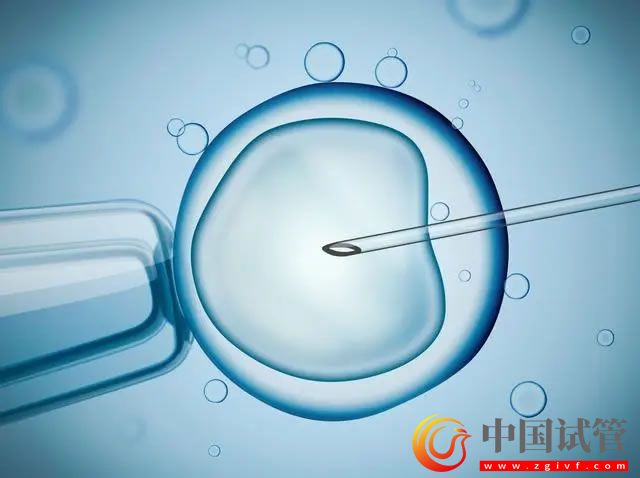 供精試管嬰兒價格解讀,想省錢越早做越好(圖2) 供精試管嬰兒價格解讀,想省錢越早做越好(圖1)
