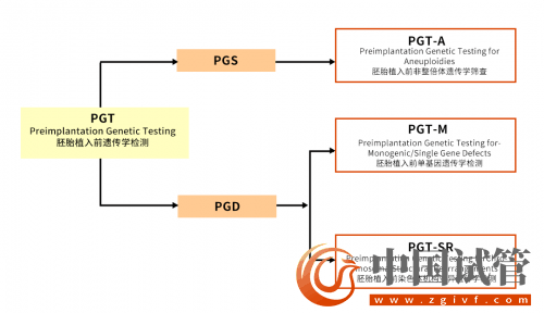 什么是PGT、PGS和PGD?(圖4) 什么是PGT、PGS和PGD?(圖4)