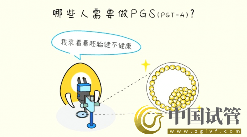 什么是PGT、PGS和PGD?(圖5) 什么是PGT、PGS和PGD?(圖5)