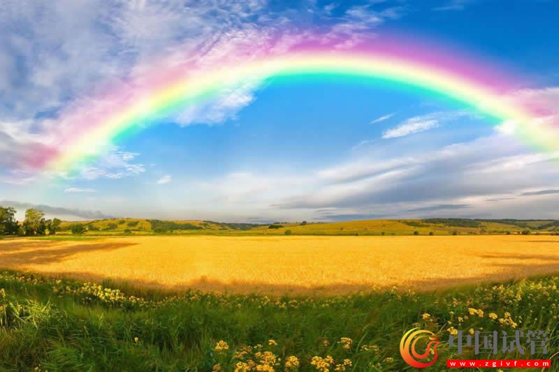 試管嬰兒要花多少錢10萬（試管嬰兒要花多少錢10萬元）(圖1)