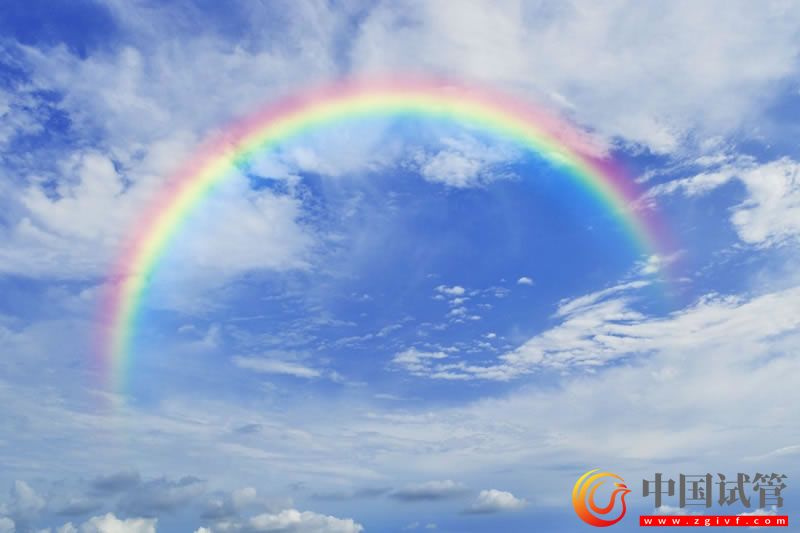 多囊卵巢患者做試管嬰兒要注意什么?(圖1) 多囊卵巢患者做試管嬰兒要注意什么?(圖1)