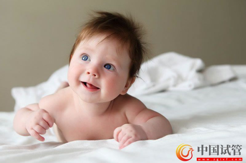 女性不孕不育解決方案有哪些?試管前需要檢查什么?(圖1) 女性不孕不育解決方案有哪些?試管前需要檢查什么?(圖1)