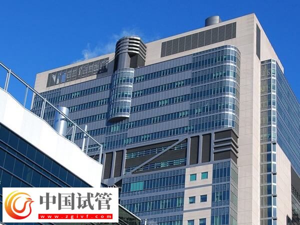 長春熱門生殖中心名單公布,成功率均在50%以上(圖1) 長春熱門生殖中心名單公布,成功率均在50%以上(圖1)