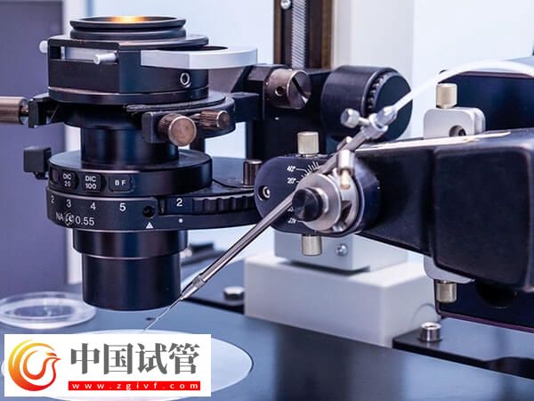 新鄉供卵試管嬰兒2個月就能完成，但這五個步驟可不能忽視(圖1)