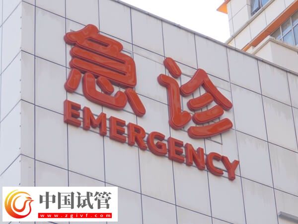 杭州供卵試管嬰兒單周期花費約4萬，選三代試管價格更高(圖1)