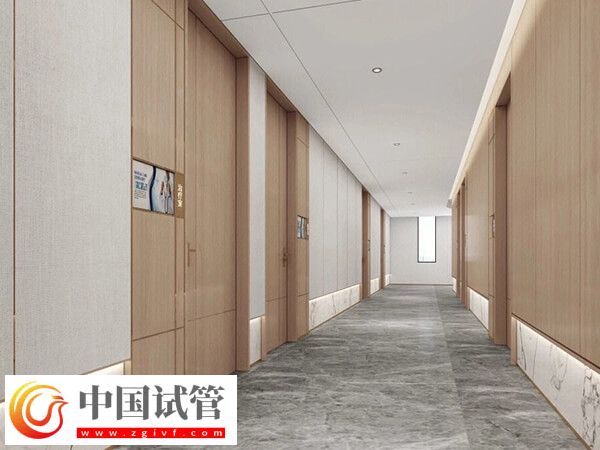 汕頭熱門人工受孕醫(yī)院名單分享？技術(shù)、服務(wù)都在線(圖1)