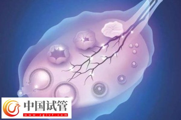 許昌三代試管機(jī)構(gòu)騙局科普，一文叫你如何防止被騙(圖1)