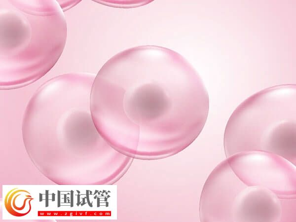 女性卵子質(zhì)量差易不孕,日常補鐵好處多多!(圖2) 女性卵子質(zhì)量差易不孕,日常補鐵好處多多!(圖2)