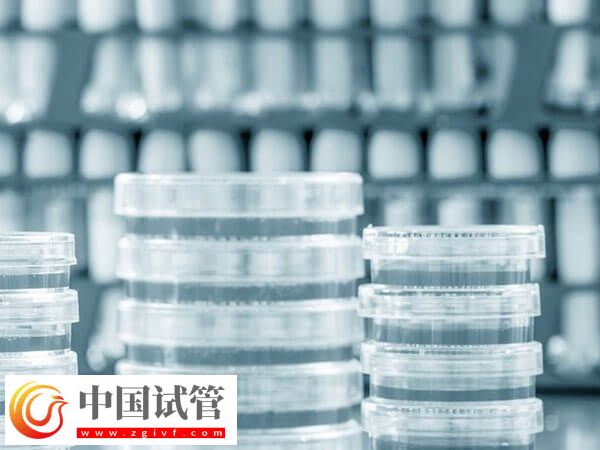 長沙熱門人工受孕醫(yī)院匯總，前三家成功率均在50%以上(圖3)