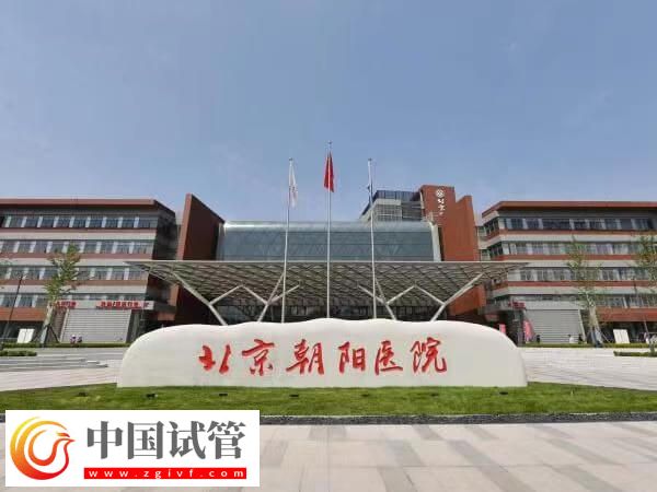 北京朝陽醫院生殖科的優勢及特色解讀(圖1)