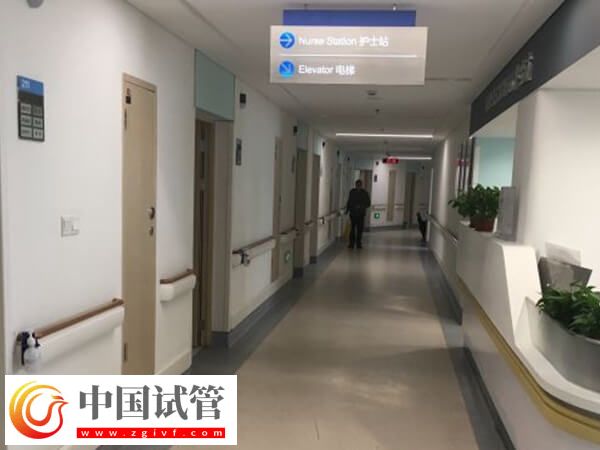 保定市婦幼試管嬰兒大夫介紹，王玉真主任技術強、口碑佳(圖1)