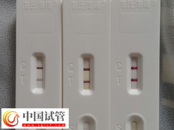 一文弄懂柳州三代試管嬰兒，內附開銷明細及成功案例(圖1)