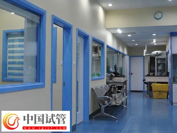 石家莊三代試管嬰兒生孩子的要求:年齡、心理狀態(tài)都要達(dá)標(biāo)(圖3) 石家莊三代試管嬰兒生孩子的要求:年齡、心理狀態(tài)都要達(dá)標(biāo)(圖3)