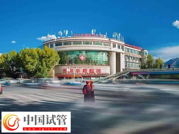 西藏阜康醫(yī)院三代試管嬰費(fèi)用多少(圖1) 西藏阜康醫(yī)院三代試管嬰費(fèi)用多少(圖1)