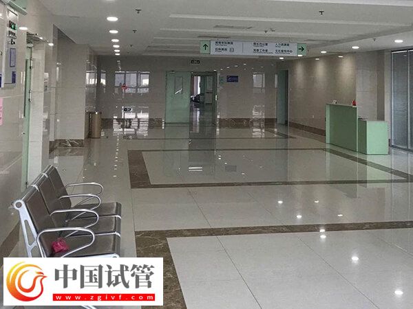 周口也有試管嬰兒機構，成功率可達60%喲！(圖2)