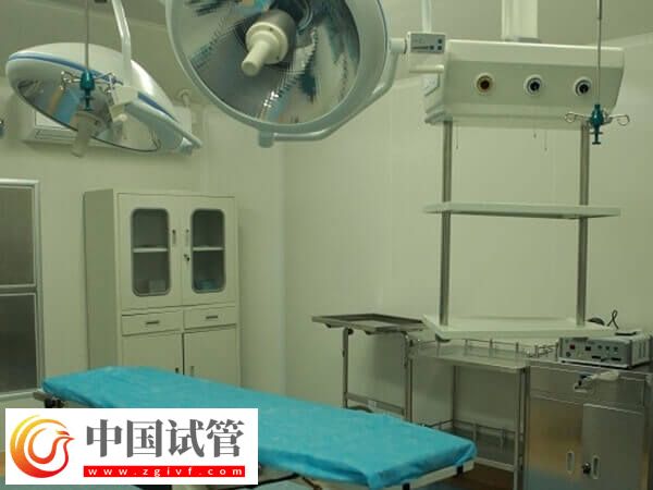 九江市供卵試管嬰兒怎么樣？看完成功率和收費標準就知道(圖2)