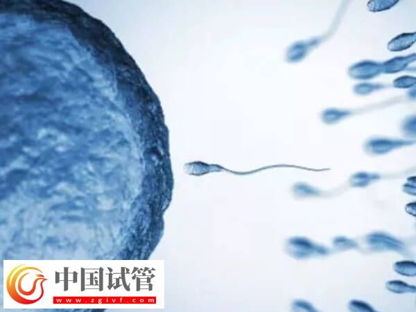 長沙試管嬰兒平均成功率高達65%,滿足這三個條件即可申請(圖1) 長沙試管嬰兒平均成功率高達65%,滿足這三個條件即可申請(圖1)