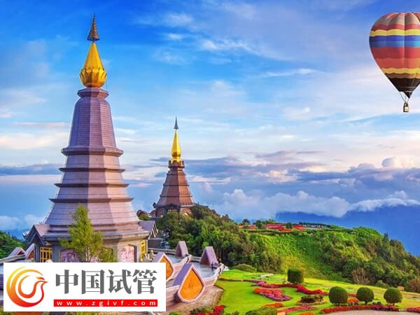 海外各國試管嬰兒費用一覽，內含西班牙、印度等地(圖1)