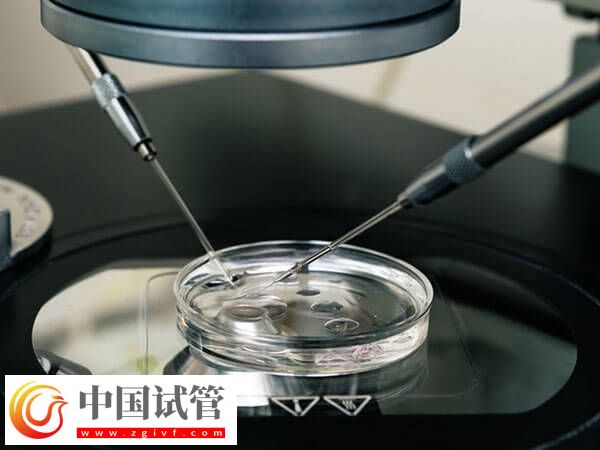 重慶市婦幼保健院助孕生龍鳳胎成本高不高？全程至少5w(圖2)