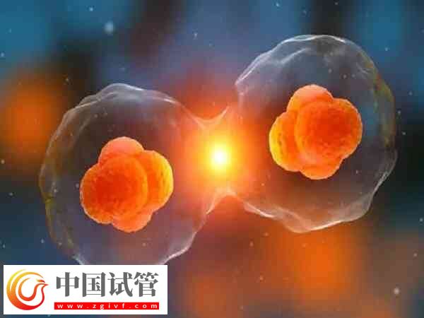 臨汾市人民醫(yī)院做試管嬰兒怎么樣?技術和成功率一覽(圖1) 臨汾市人民醫(yī)院做試管嬰兒怎么樣?技術和成功率一覽(圖1)