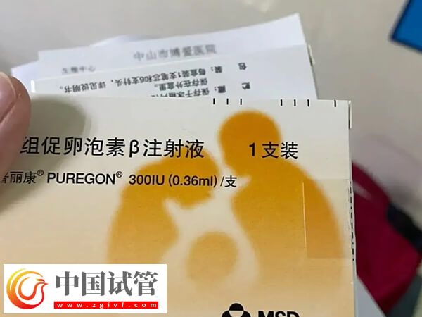 試管嬰兒查體到移植至少2個月，期間做好這些更容易成功(圖1)