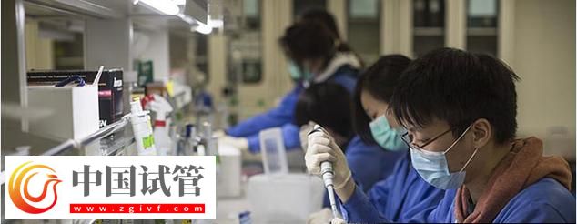 羊水親子鑒定能做 克州懷孕16周可不可以做試管嬰兒親子鑒定(圖3)