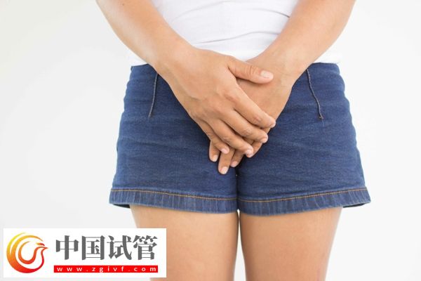 沒有子宮能生孩子嗎(圖14) 沒有子宮能生孩子嗎(圖14)