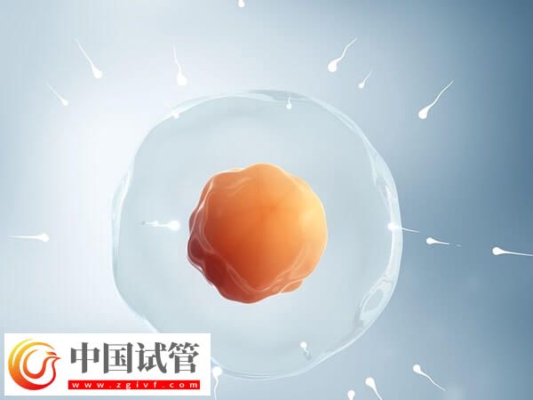 唐山市人授檢查到保胎全程分享，單周期治療一個月結束(圖1)