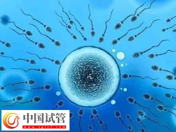 山西煤炭醫院夫精人工授精收費標準：單周期預算6K起(圖1)